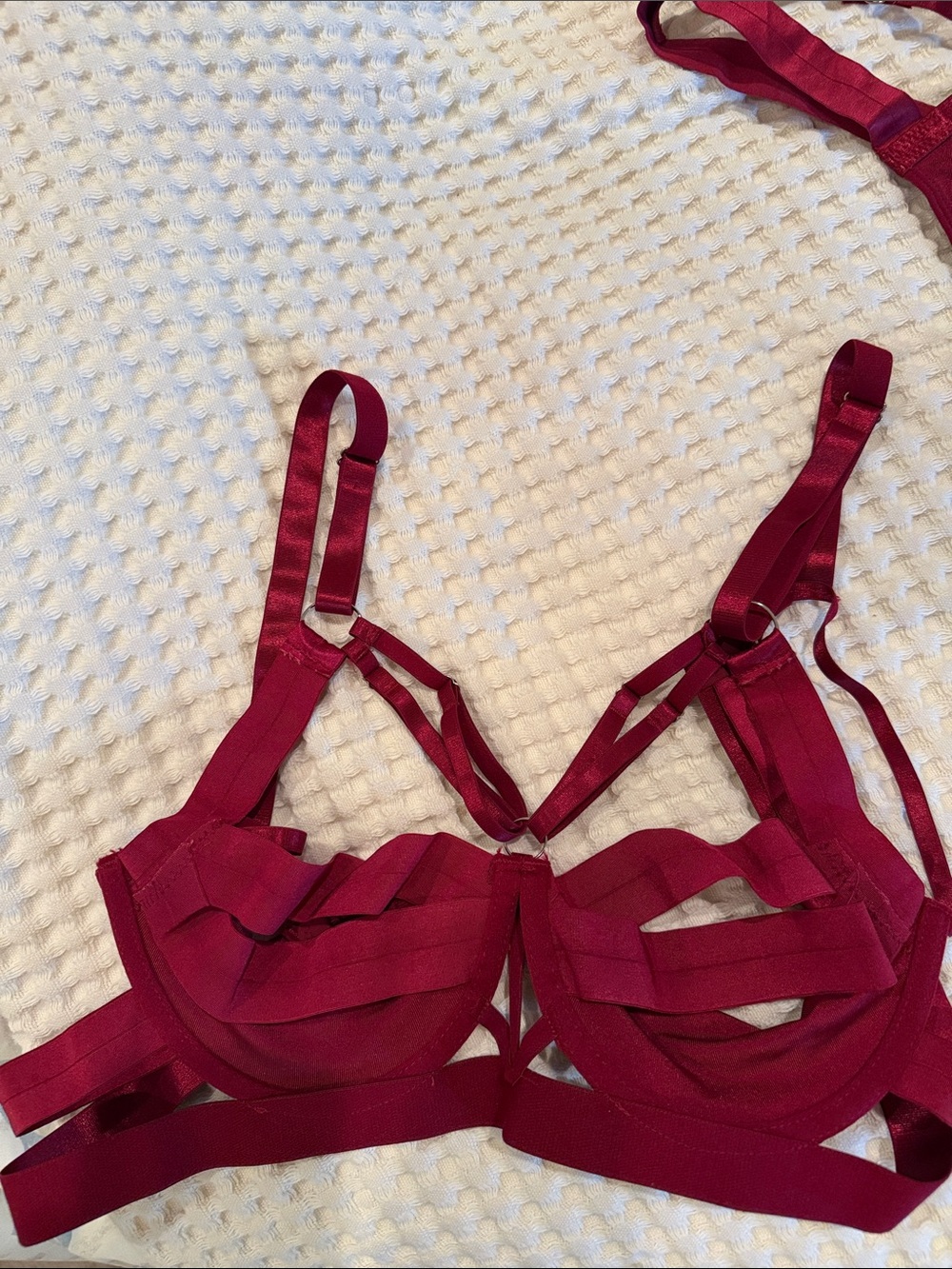 Strappy Lace-Up Bra, Thong & Garter Set in Burgundy - Picture 2 of 8